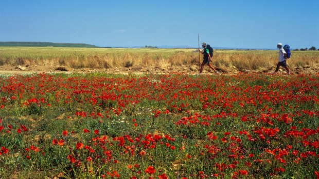 Pilgrims between Hornillos del Camino and Hontanas, Spain.