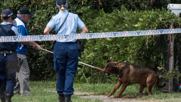 Dog handlers removing one of the man's rottweilers from his Riverstone home last week.
