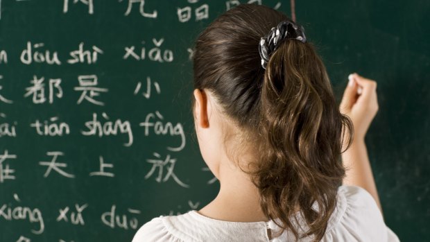 Primary school students spend an average of less than an hour each week learning languages.