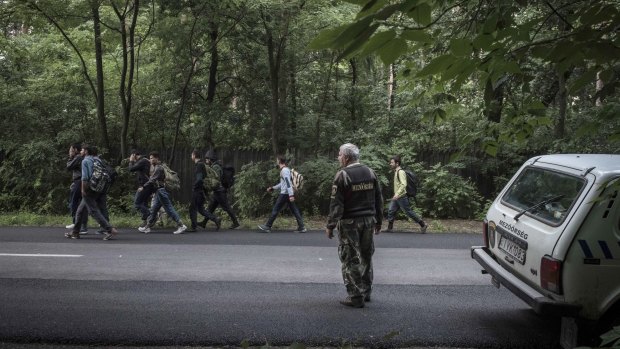 A Hungarian field ranger watches a group of refugees who crossed the Serbian border into Hungary near the town of Asotthalom on Sunday.
