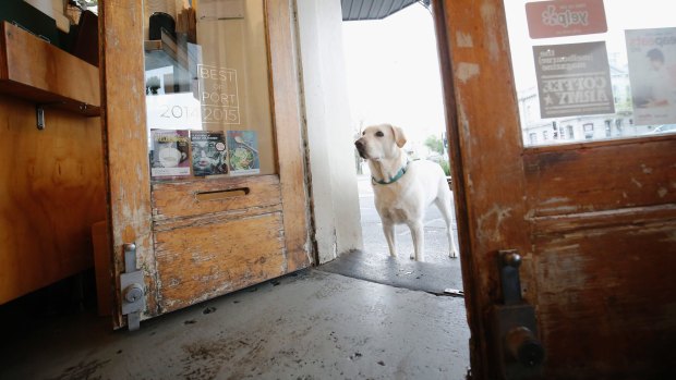 A popular Fremantle pub has banned dogs from its front bar.