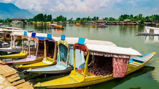 Shikara boats in Dal Lake. 