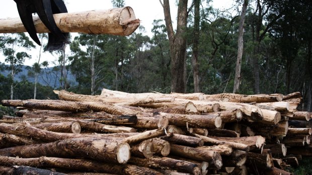 Forestry Corporation NSW has been fined $8000.