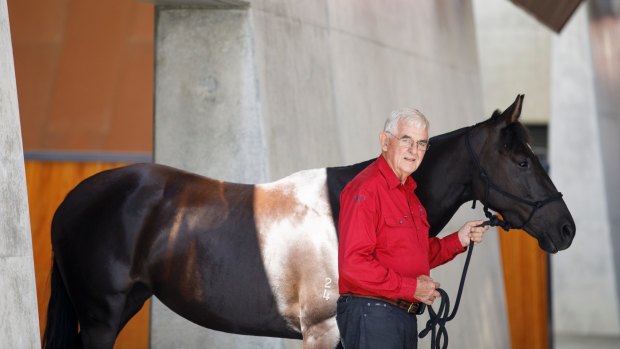 Terry Snow would like to see Willinga Park become a centre of excellence for equestrian sports. 