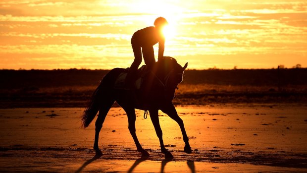 Trainer Kristie Peoples-Clark does some early morning track work with Lupo Nero during the Birdsville Annual race carnival on September 3, 2016 in Birdsville.