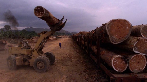 Logs are loaded onto a train in Lope Reserve, Gabon.
