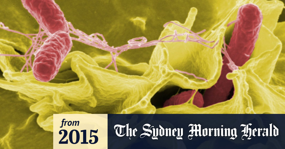 Salmonella outbreak expands as two more cases emerges in ACT nursing homes