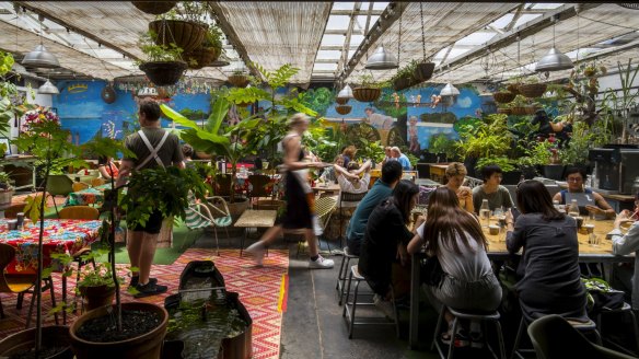 Inside Grub's leafy greenhouse.