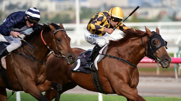 Manapine, Dwayne Dunn in the saddle, wins the Galilee Series Final at Flemington on April 11.