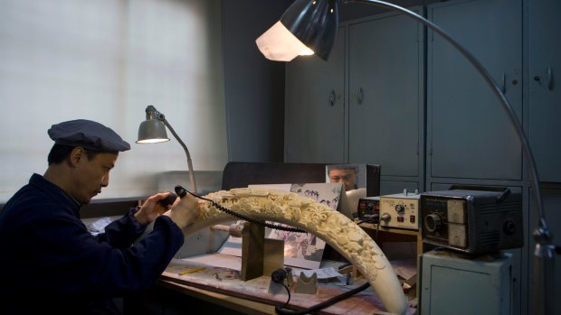 Xu Yongping, a Shanghai carver, works on an ivory tusk design called 'Dream of the Red Mansion' in 2013, which would take three years to complete.