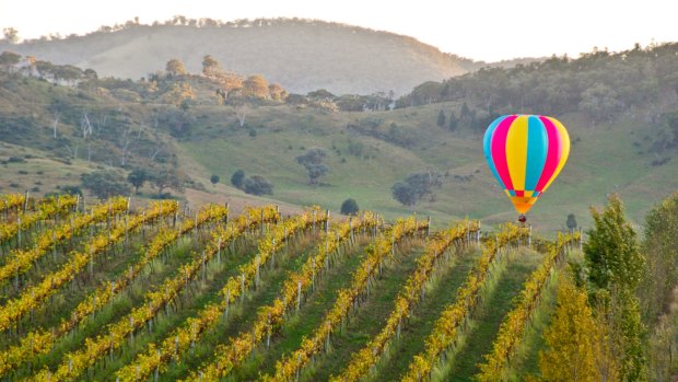 Hot air balloon over Mudgee.