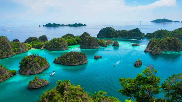 Coral reefs around Raja Ampat in Indonesia are healthier, but poachers have taken advantage of the lack of tourists.