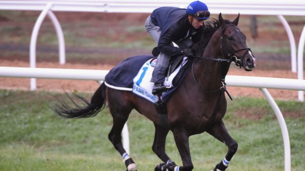 Quizzed: Zac Purton and Fame Game were in the spotlight on Caulfield Cup day.