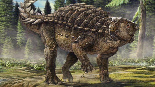 Life reconstruction of Kunbarrasaurus ieversi.