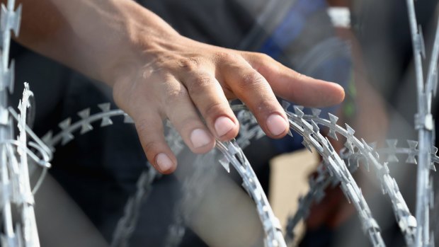 A migrant places his hand on the razor wire fence from the Serbian side of the Serbian-Hungarian border.
