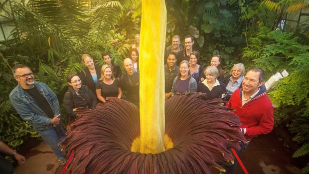 Sunday is the last chance for Melburnians to see the flower in its prime.