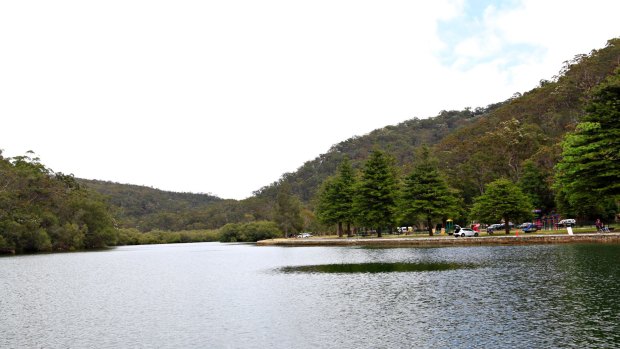 The Bobbin Head picnic area is a great destination for families.