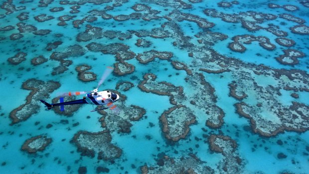 The Great Barrier Reef and other important natural sites could come under threat if environmental protection legislation is changed, green groups say.