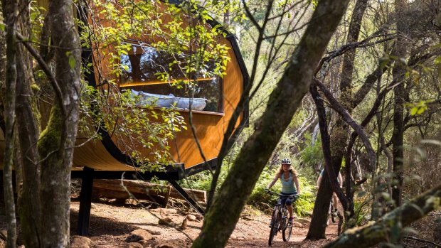 One of the pods at the heart of the Blue Derby Pods Ride experience.