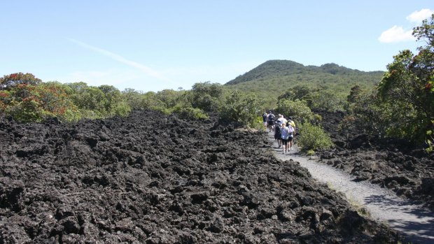 The path to Rangitoto Island's summit leads through volcanic rock that looks likes newly ploughed dirt.