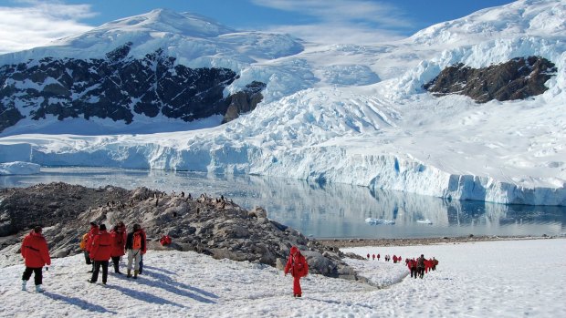 Ponant passengers exploring Antarctica.