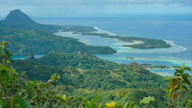 Eel worshiping is a thing on Huahine island.