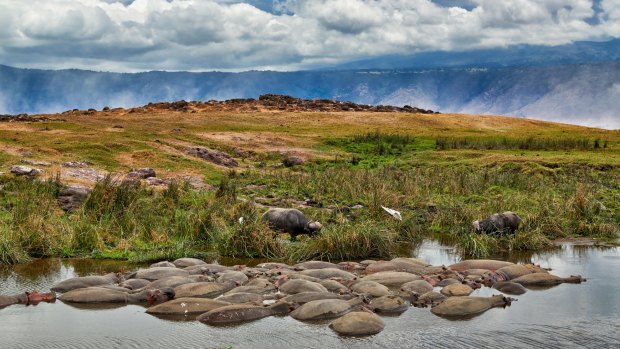 Ngorongoro Conservation Area, a UNESCO world heritage site in Tanzania.