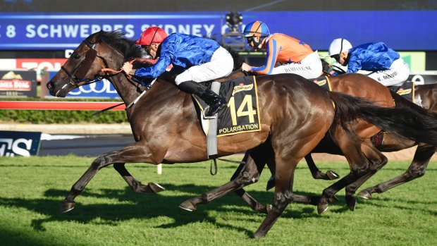 Same again please: Corey Brown hits the front on Polarisation in the no-race Sydney Cup a fortnight ago. 