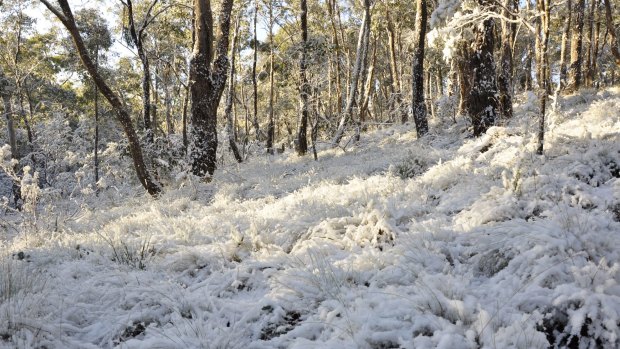 Between three to five centimetres of snow fell in Captains Flat, near Canberra, on Monday morning.