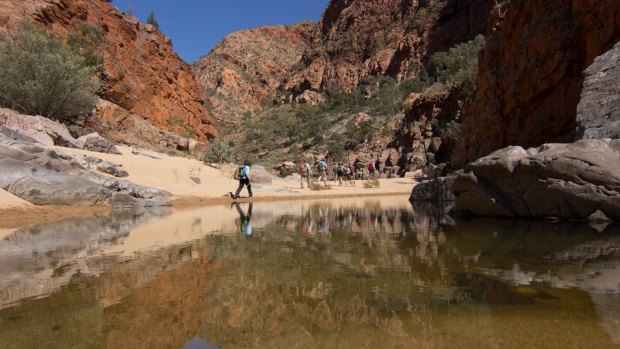 Since it opened, the trail has morphed from a favourite local walk to a world-renowned trek with up to 5000 walkers each year.