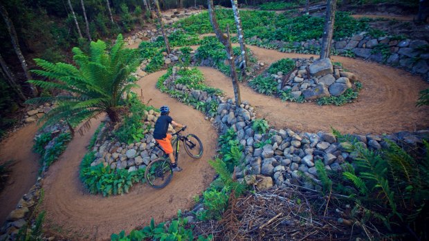 Go with the flow: Blue Derby boasts 110 kilometres of mountain-bike trails.