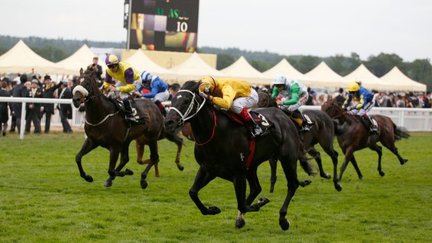 Gallant:  Brazen Beau, ridden by Craig Williams, wearing yellow, runs home for second in the Diamond Jubilee Stakes at Royal Ascot. 