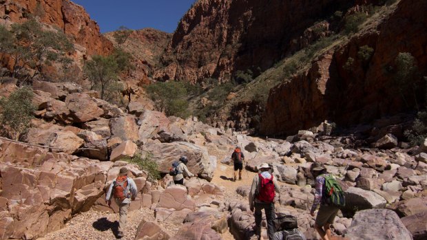 The average age of hikers on Trek Larapinta's Super6 walk is 45 to 50, it's 107 kilometres of hard, technical, albeit guided, walking.
