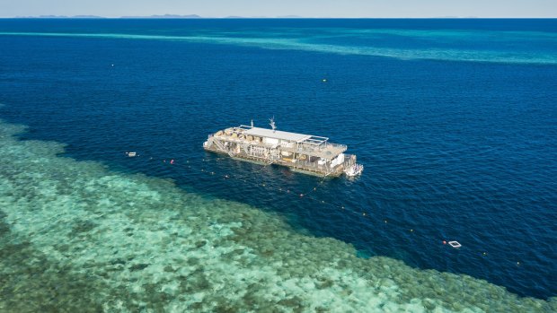 Cruise Whitsundays' pontoon at Hardy Reef.