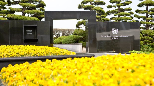 The United Nations Memorial Cemetery in Busan, South Korea, is is an unusually tranquil and contemplative place.