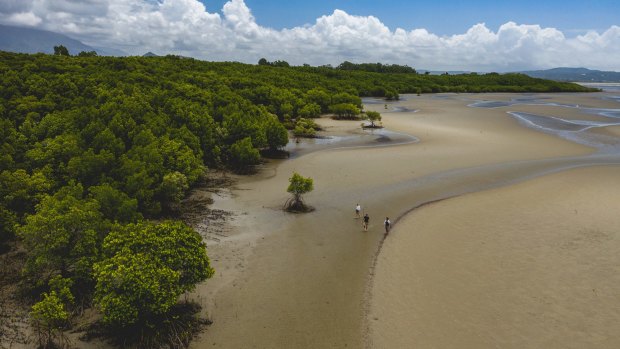 Exploring Kuku Yalanji country, around Port Douglas in Queensland, with Juan Walker from Walkabout Cultural Adventures.