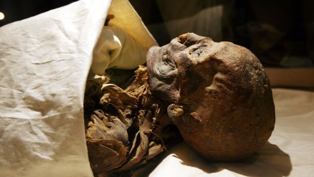 The mummy of Pharaoh Queen Hatshepsut is displayed at the Egyptian museum in Cairo.