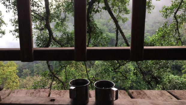 A childhood dream realised; The Gibbon Experience in Laos gives you a chance to stay in some of the highest tree houses in the world, accessible via zipline, for the chance to spot wildlife.