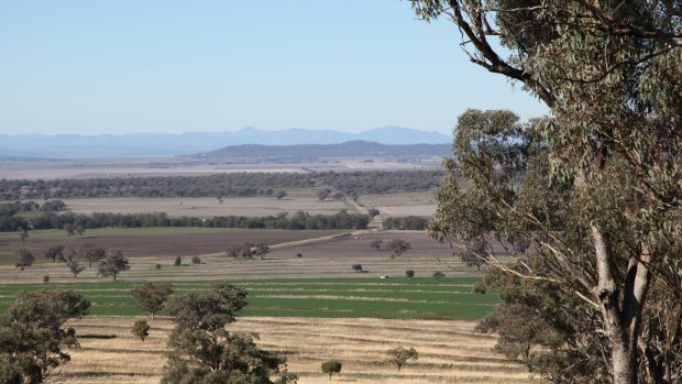 Liverpool Plains area, where land is in high demand 