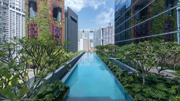 Sofitel Singapore City Centre is a botanically inspired oasis.