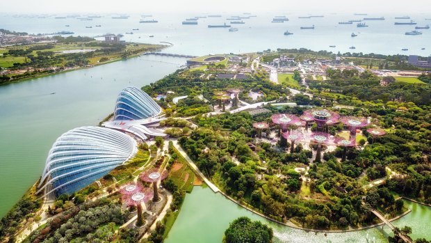 While the curve still hasn't been completely flattened in Singapore, this is a nation that knows how to deal with pandemics, and as a major air hub will look to open as soon as possible.
