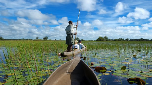 Visitors can glide almost silently through the waters of the Okavango Delta in Botswana in a boat made from a hollowed-out tree trunk, or a fibreglass replica.