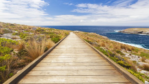 Boardwalk to the coast in Kangaroo Island, South Australia. 