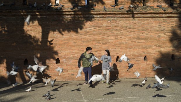 In Chiang Mai, young travellers now want to get the perfect shot among the pigeons at the city gates.