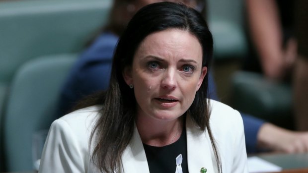 Labor MP Emma Husar speaks about her personal experience with family violence on Tuesday.