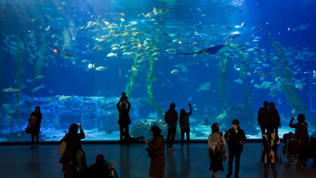 Hanwha Aqua Planet in Jeju. More than 26 million passengers use Jeju International airport each year.