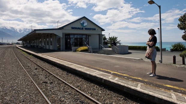 New Zealand’s Coastal Pacific service stops at the whale-watching town of Kaikoura.