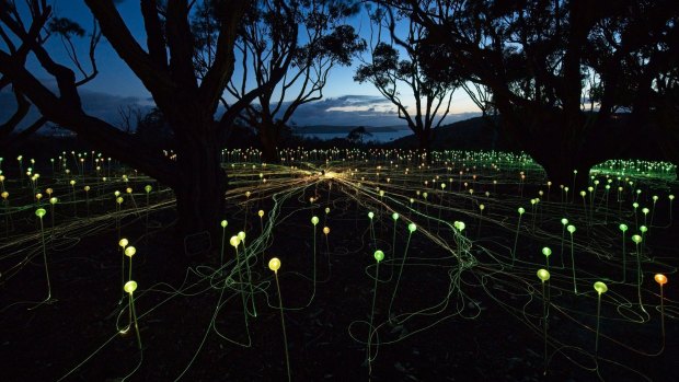 Bruce Munro's Field of Light: Avenue of Honour,  Albany.
