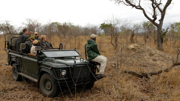 Tourists watching cheetah during a game drive in Sabi Sand Private Game Reserve.