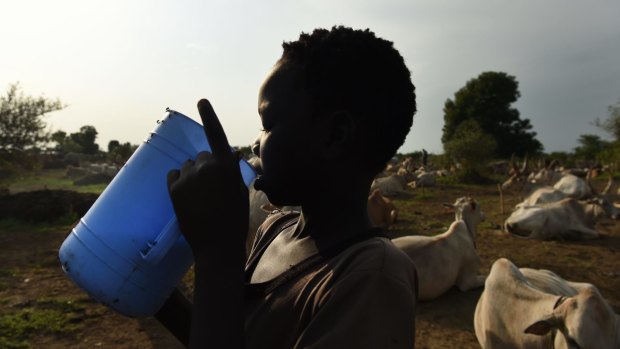 A boy drinks fresh milk at the cattle camps that have popped up on the outskirts of Bentiu in South Sudan.